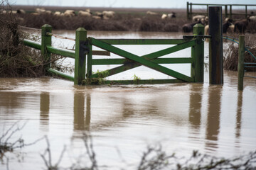 flooded farm field, rising river water level generative ai