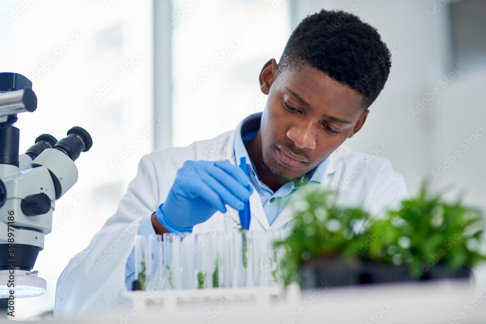 Poster this is the last piece. a focused young male scientist placing tiny plants into vials ready to be ex