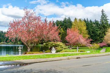 Lake Washington Boulevard Flowers 9