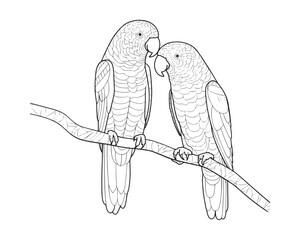 Two parrots on a tree branch in line drawing art for colouring book.