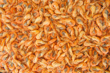Cooked shrimps food background, top view