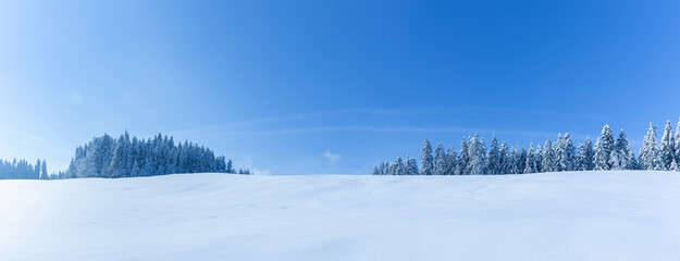 Verschneite Winterlandschaft mit schneebedeckten Tannenbäumen bei Sonnenlicht und blauem Himmel