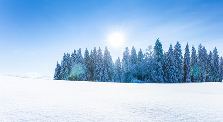 Verschneite Winterlandschaft mit schneebedeckten Tannenbäumen bei Sonnenlicht und blauem Himmel