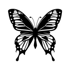 butterfly vector design black and white