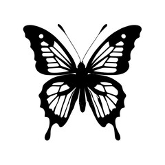 butterfly vector design black and white