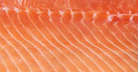 A piece of red fish in close-up. trout fillet, salmon. fish background