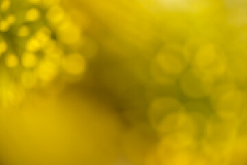 Warm yellow abstract background