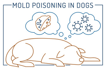 Mold poisoning, inflammation. Common ear problems in dogs.