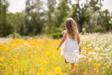 Fototapeta premium Girl in a white dress picking flowers in a black eye Susan flower field. Child in a flower meadow at in a patch of yellow and white flowers.