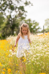 Girl in a white dress picking flowers in a black eye Susan flower field. Child in a flower meadow at in a patch of yellow and white flowers.