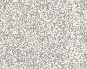 Vintage wooden beige background with white peeling paint.vintage animal skin texture background pattern.modern, abstract, ethnic highly detailed abstract texture or grunge beige background.