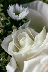 Detalle de flores blancas para muertos