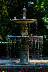 Fototapete bei efototapeten.de bestellen   