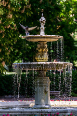 Fototapete bei efototapeten.de bestellen   