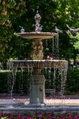 Fototapete bei efototapeten.de bestellen   