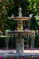 Fototapete bei efototapeten.de bestellen   