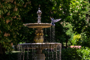 Fototapete bei efototapeten.de bestellen   