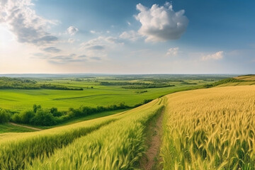 Panoramic natural landscape with green grass  blue sky with clouds and curved horizon line. generative ai,  Colorful summer panorama of combination of yellow and green fields.