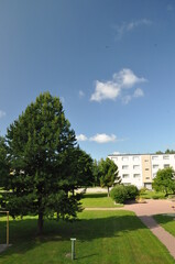 Fototapeta na wymiar White and beige apartment building with a lovely green yard. Big conifer, juniper, pine tree. Sand path and playground for childern. Warm summer day and blue sky with small clouds.
