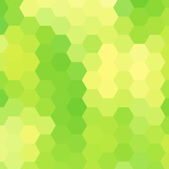 Fototapeta na wymiar Green hexagon background. Vector graphics. Presentation template. eps 10