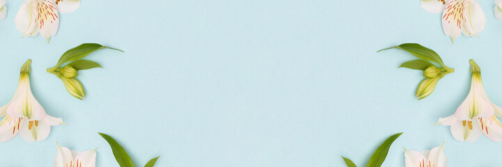 Banner with white alstroemeria flowers and green leaves scattered on a blue background. Springtime creative concept.