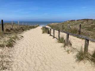 Fototapeta na wymiar Weg durch die Dünen zum Meer in Noordwijk an der Nordsee in Holland 