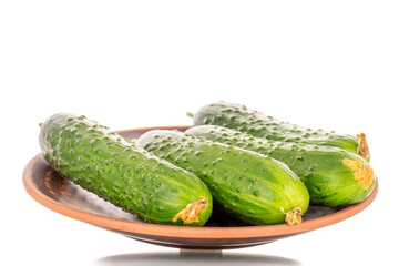 Three ripe green cucumbers on a clay plate, macro, isolated on white background.