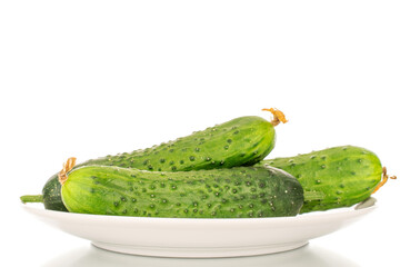 Three ripe green cucumbers on a white ceramic plate, macro, isolated on white background.