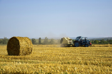 Harvested wheat field with large round bales of straw in summer. Tractor forming bales is visible...