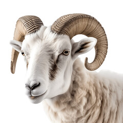 White ram with large horns isolated on a transparent background. Generative AI.
