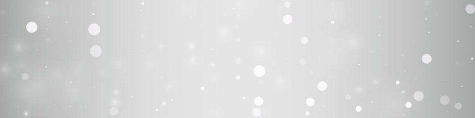 Winter Blizzard Vector Silver Panoramic