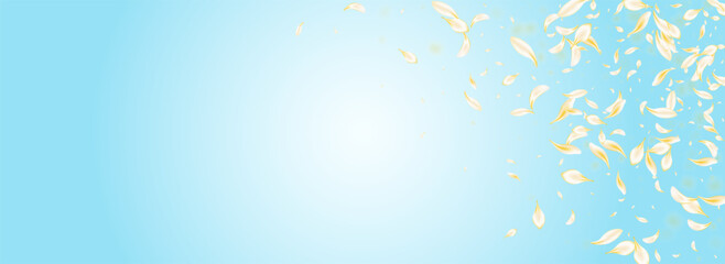 Gold Cherry Flying Vector Panoramic Blue