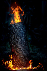 standing log with fire inside