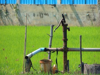 water pumping equipment in rice fields