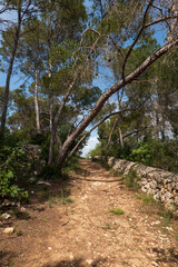 Fototapeta na wymiar Park Natural de Mondrago, Mallorca, Spain