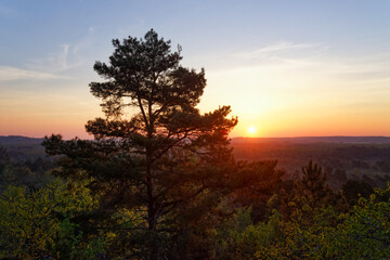 Obraz premium Haute Pierre hill near Milly-La-Foret village. Fontainebleau forest