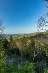 view from San Leo to the surrounding landscape