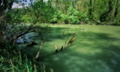 The main river of Punta Alberete