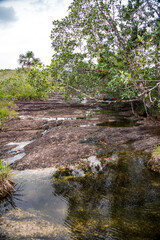 Rocky area of natural caves in the Colombian Amazon