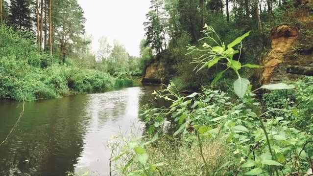 static wide shot of wonderful forest river scenery with sandstone cliffs