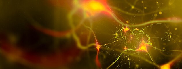 Nerve cells background with copy space