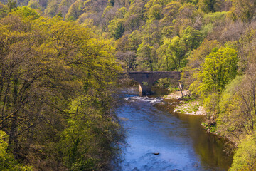Fototapeta na wymiar View of the Dee River in Llangollen. Denbighshire, Wales. UK.