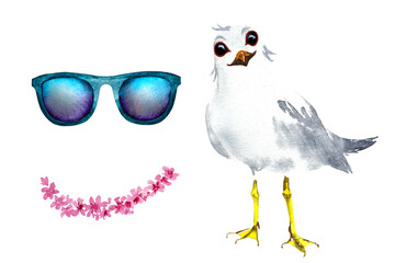 Fototapeta premium Watercolor illustration of a cartoon seagull. Seagull with glasses, watercolor drawing, on a white background