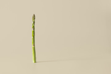 One shoot or stem of green asparagus vertically against a beige background with a soft shadow and plenty of copy space.