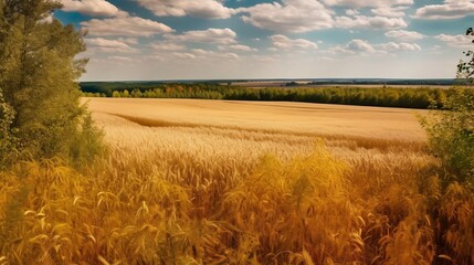 Calm field for dreaming or sleeping
