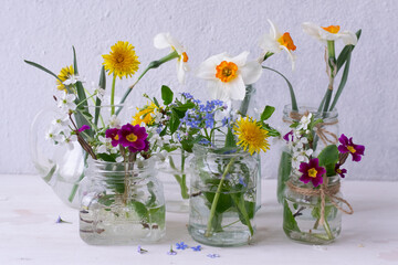 Fototapeta na wymiar Spring flowers in glass jars 