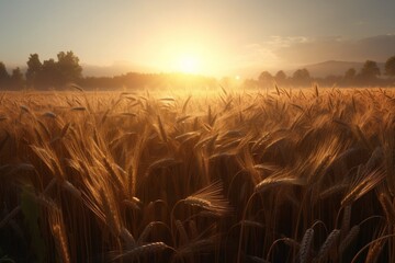 "field of wheat in sunset"generative ai