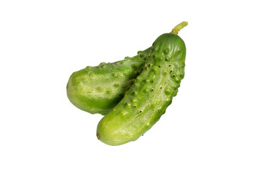 Cucumber   on white