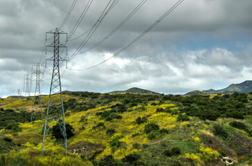 Power Lines On Mustard Covered Hillside