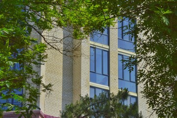 Panoramic windows in a modern brick high-rise building. View through tree branches